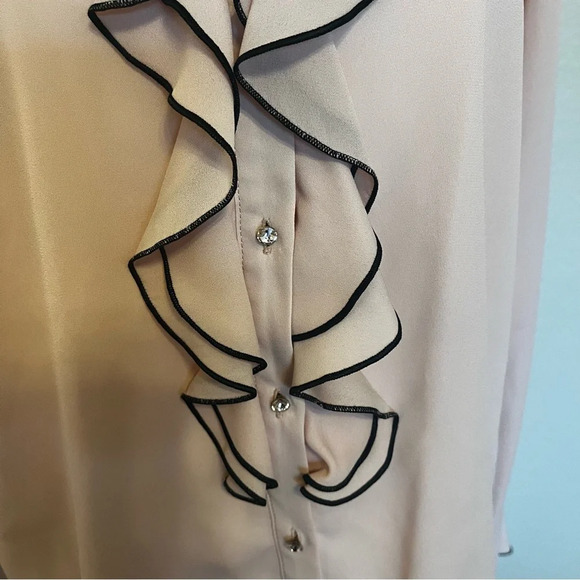 Zara  jewel button cascade ruffle blouse in pale pink and black size medium - Picture 3 of 15